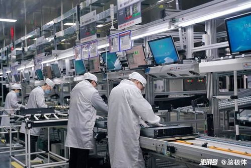 工厂、农田、服务区 互联网信息服务中的“草蛇灰线”与智能中国图景