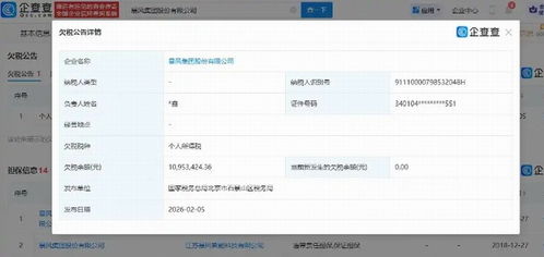 暴风集团深陷债务漩涡 欠税超千万，未履行债务逾8亿，互联网服务前景堪忧